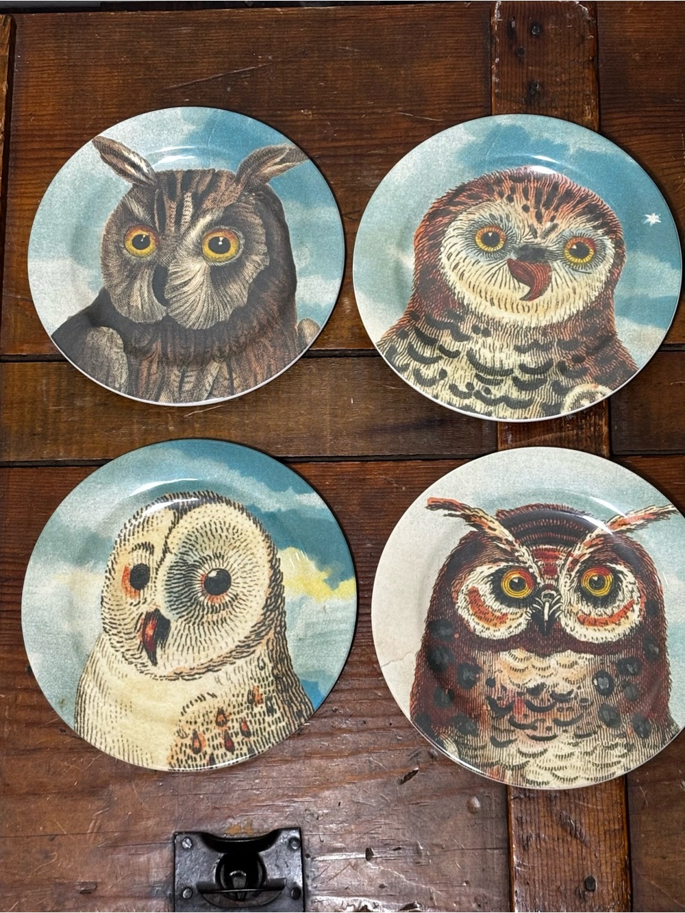 John Derian 4pc Whoo's Hungry Melamine Appetizer Plate Set Collaboration Target